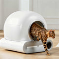 PurrClean™ – Litière autonettoyante intelligente
