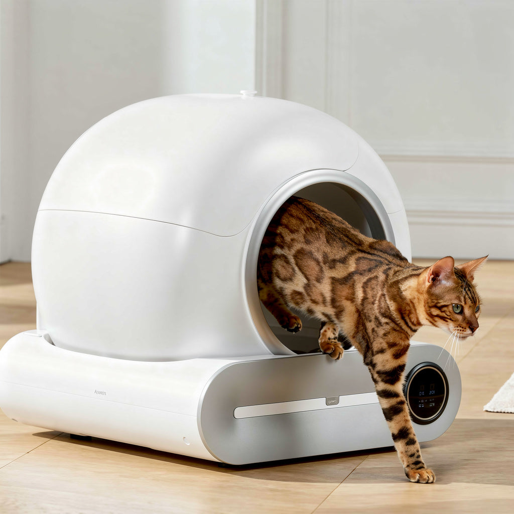 PurrClean™ – Litière autonettoyante intelligente
